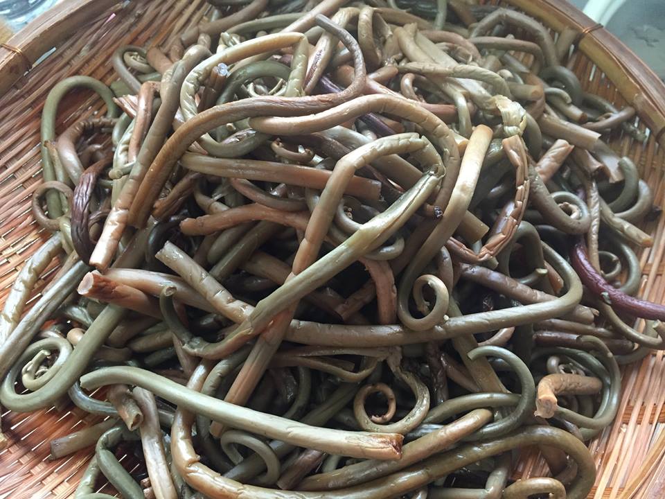 11923250_816305168490953_4076900366351085407_n