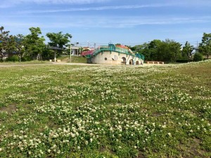 12039366_846575095463960_5390142132788333103_n