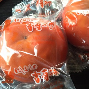 12376017_872031386251664_6513257634527386161_n