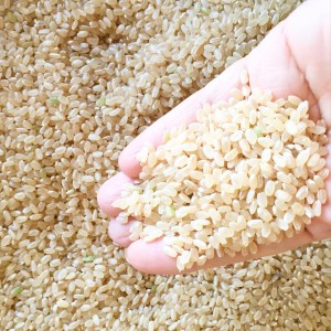 1508543_848825471905589_5076360394321644082_n